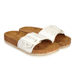 Rory Slipper