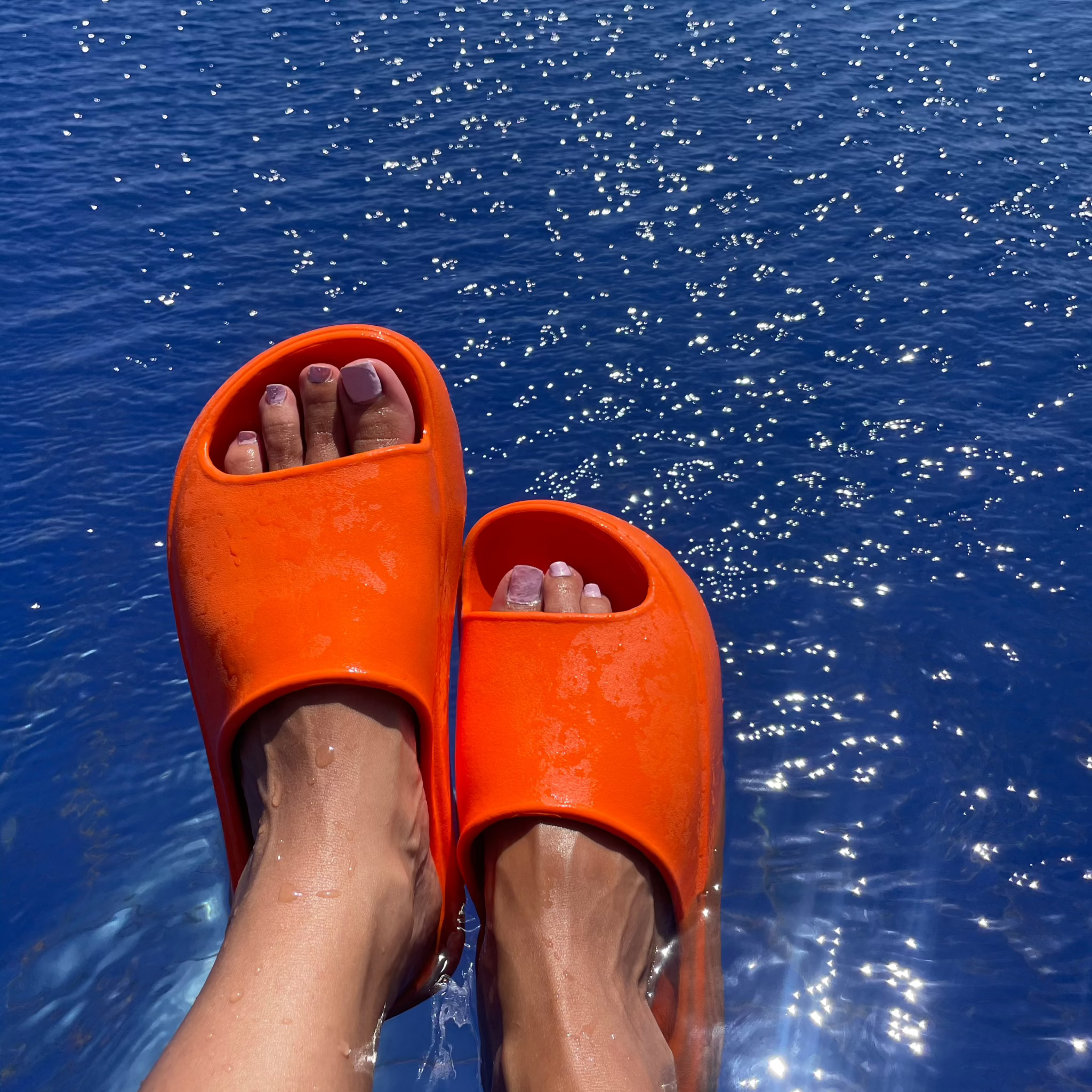 Florida slipper orange